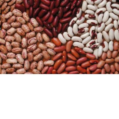 beans